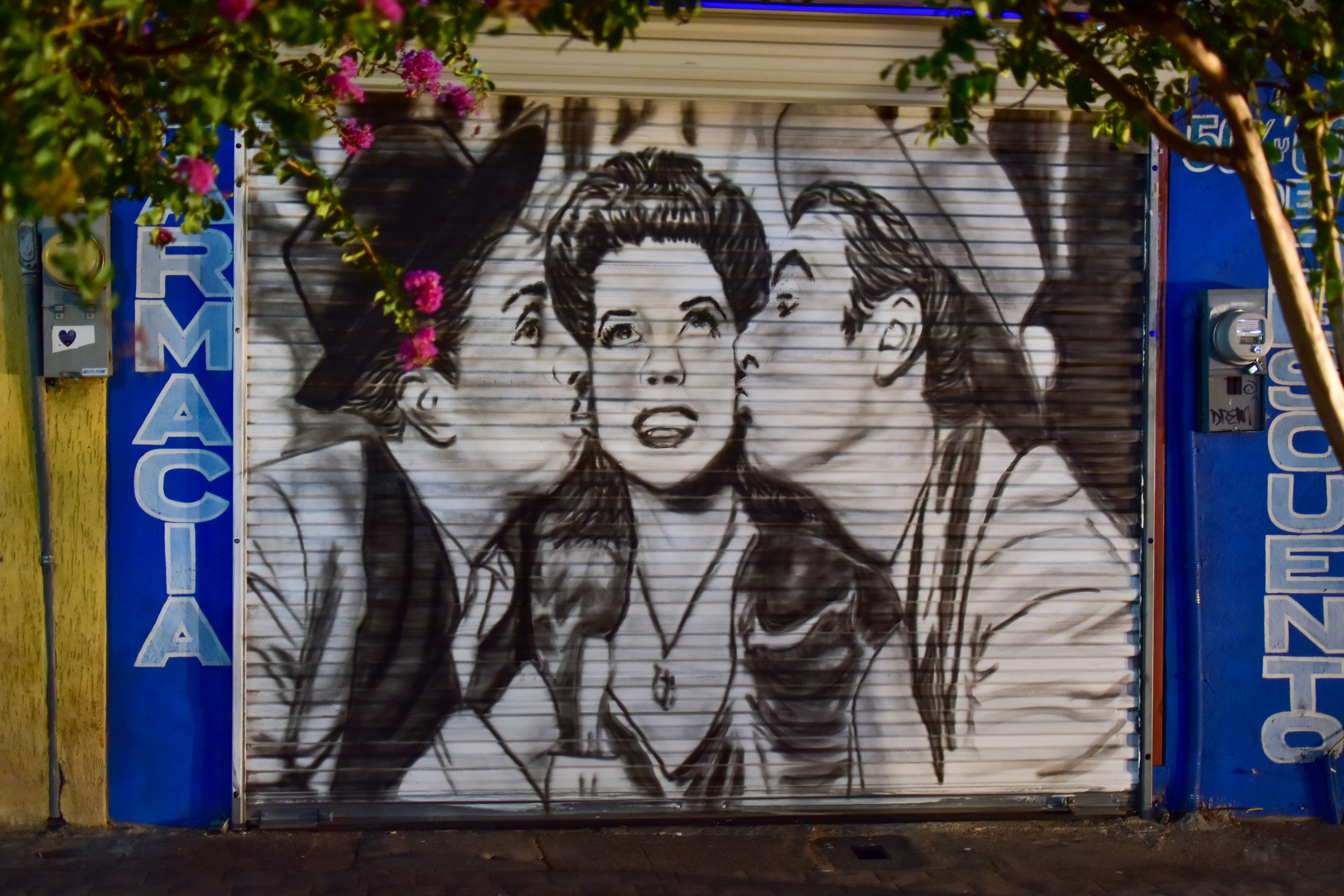 nogales nuevo/DSC_0255 copia.jpg